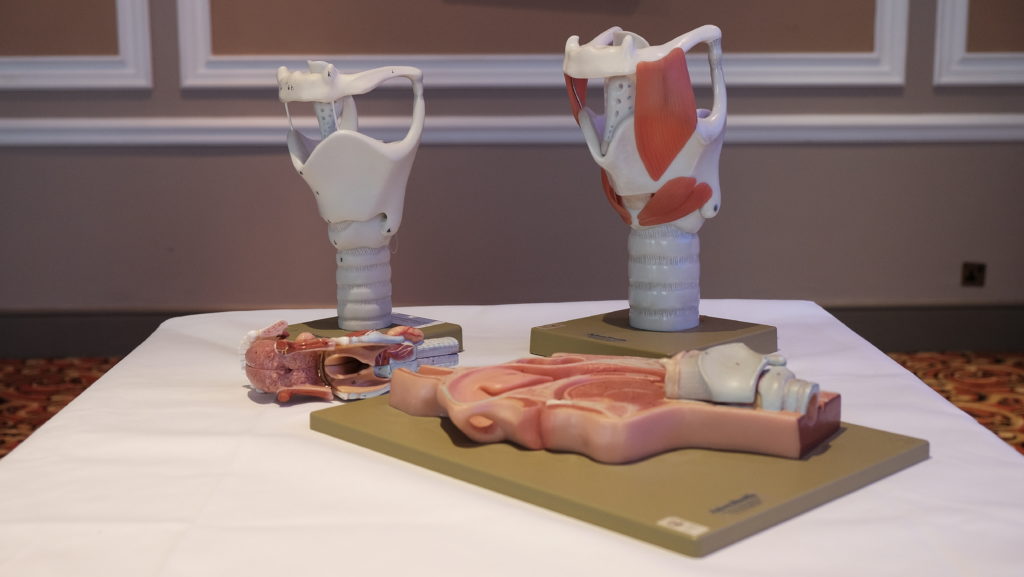 Anatomy & Physiology Estill Voice Training with Voice Your Potential
