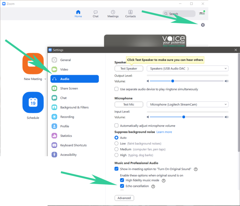 USING ZOOM Voice Your Potential